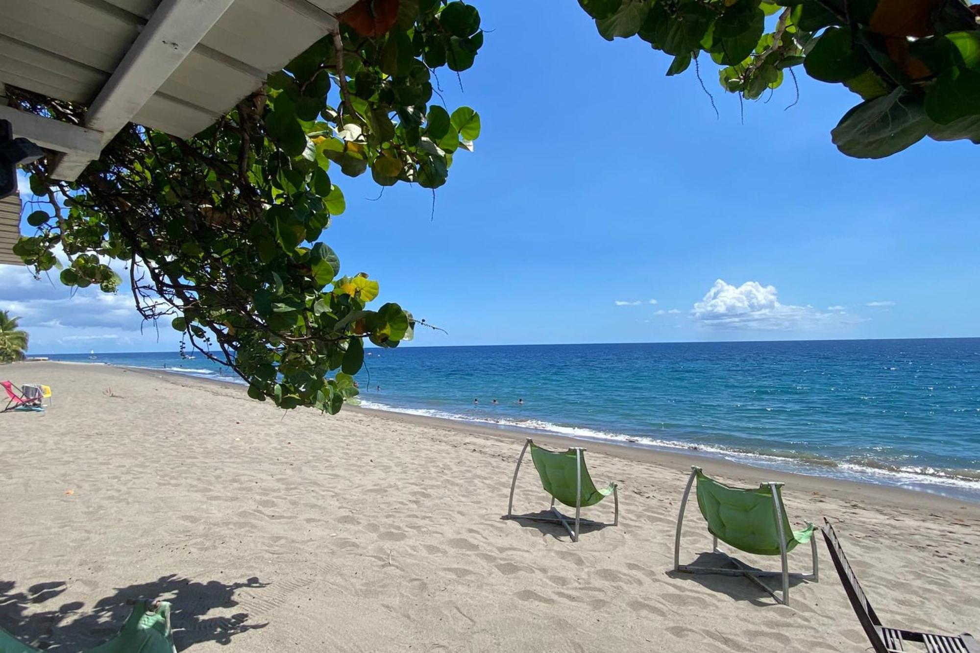972M Beautiful Air-Conditioned Villa With Garden Le Carbet Exteriér fotografie